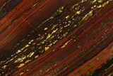 Polished Tiger Iron Stromatolite - Billion Years #129263-1